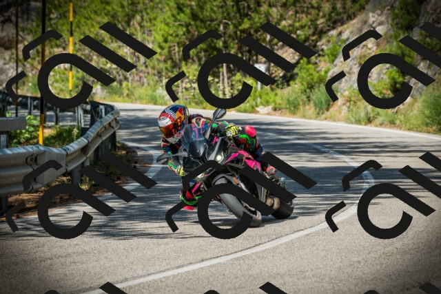 202507201027-DSC05035_c1_