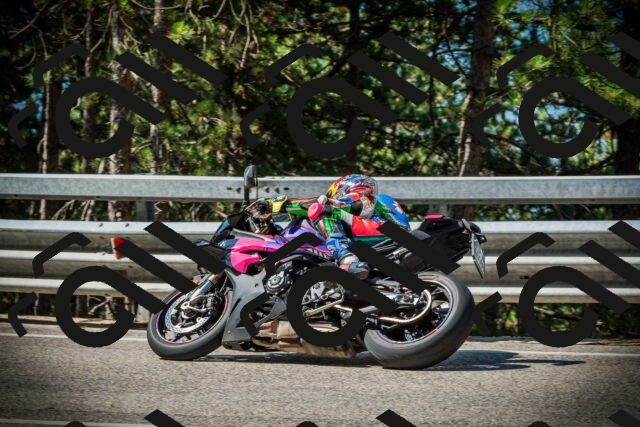 202507201027-DSC05038_c1_