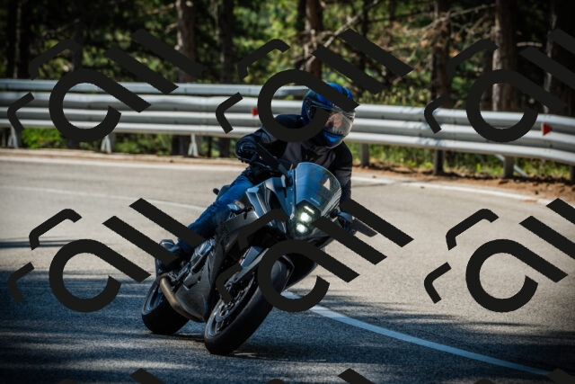 202507201027-DSC05041_c1_