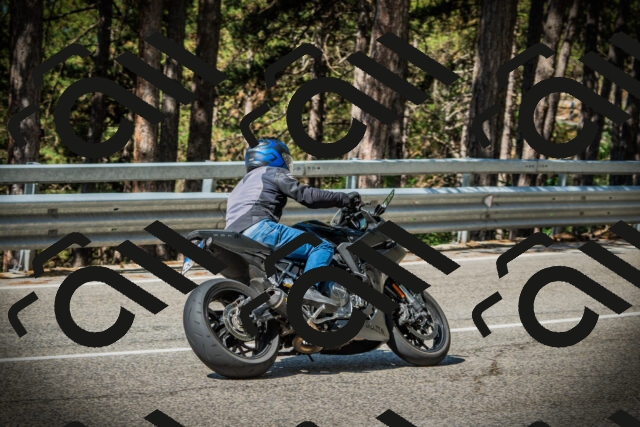 202507201027-DSC05044_c1_