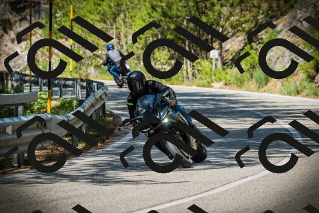 202507201027-DSC05045_c1_