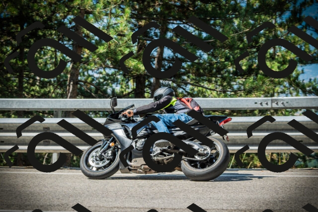 202507201027-DSC05048_c1_