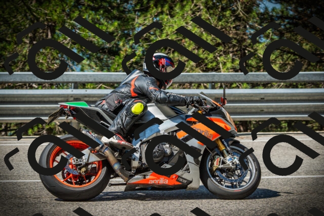 202507201029-DSC05070_c1_