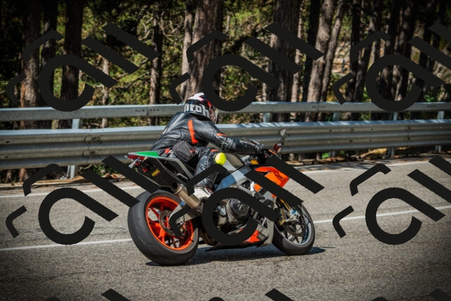 202507201029-DSC05071_c1_