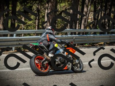 202507201029-DSC05071_c1_