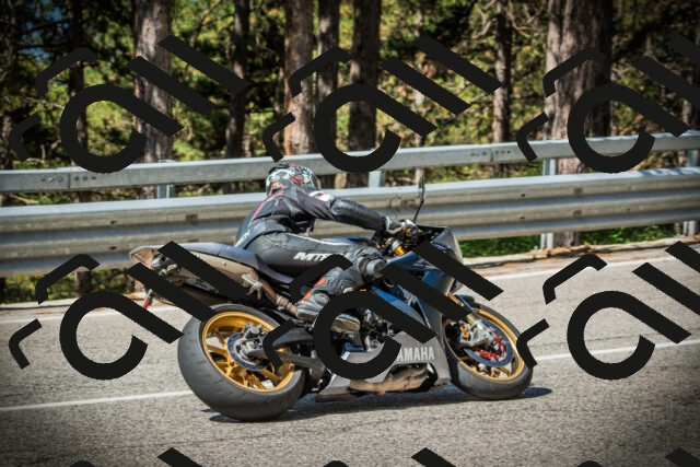 202507201030-DSC05084_c1_