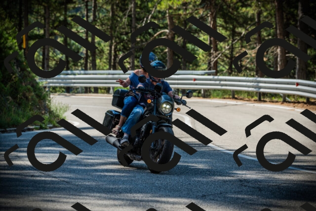 202507201030-DSC05085_c1_