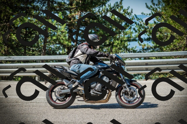 202507201031-DSC05096_c1_