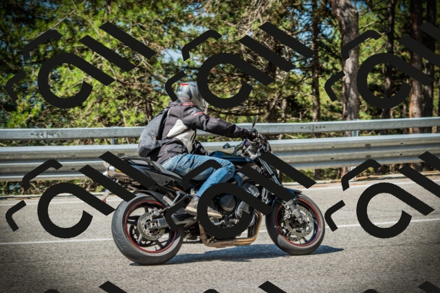 202507201031-DSC05097_c1_