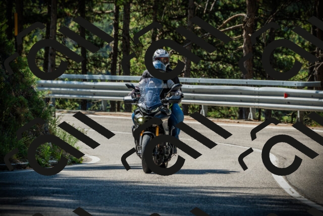 202507201031-DSC05098_c1_