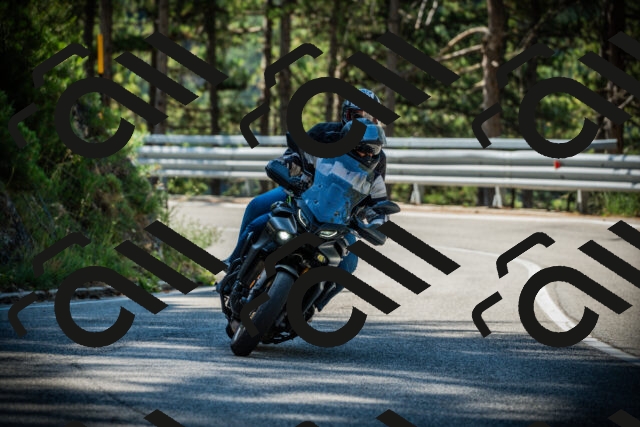 202507201031-DSC05099_c1_