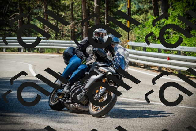 202507201031-DSC05100_c1_