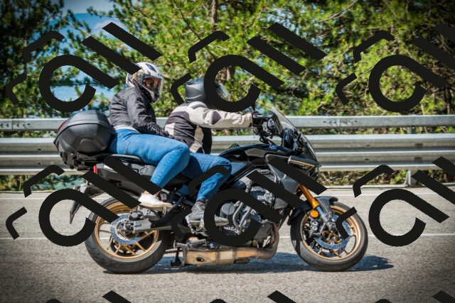 202507201031-DSC05101_c1_