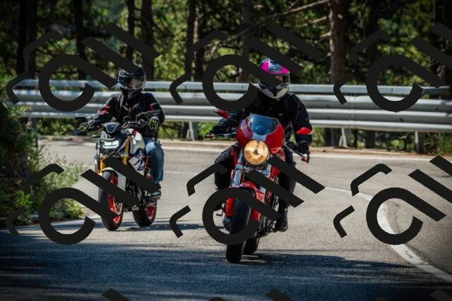 202507201032-DSC05109_c1_