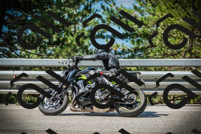 202507201033-DSC05119_c1_