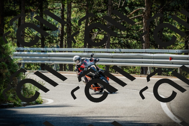 202507201035-DSC05132_c1_