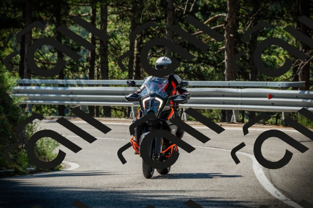 202507201035-DSC05134_c1_