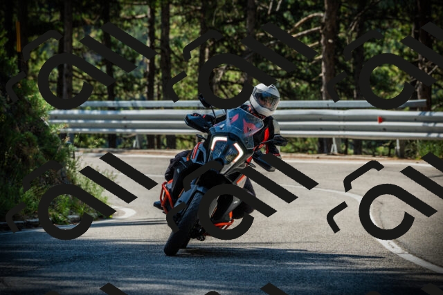 202507201035-DSC05135_c1_