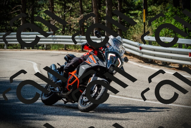 202507201035-DSC05136_c1_