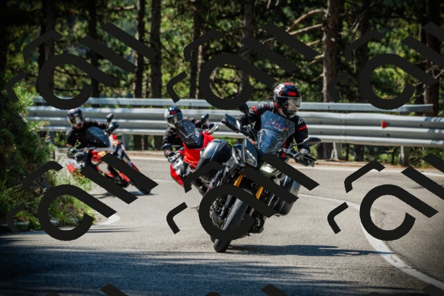 202507201038-DSC05156_c1_