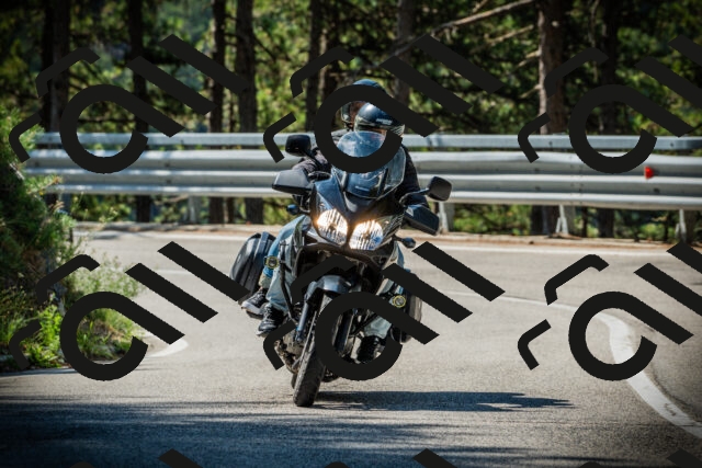 202507201041-DSC05178_c1_