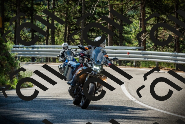 202507201041-DSC05183_c1_