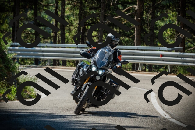 202507201046-DSC05208_c1_