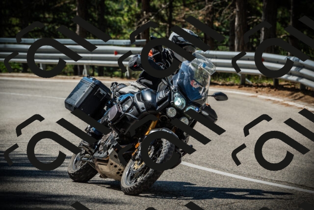 202507201046-DSC05209_c1_