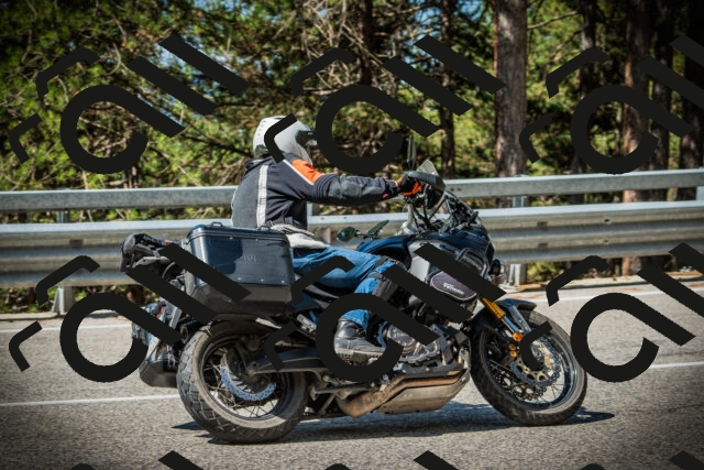 202507201046-DSC05211_c1_