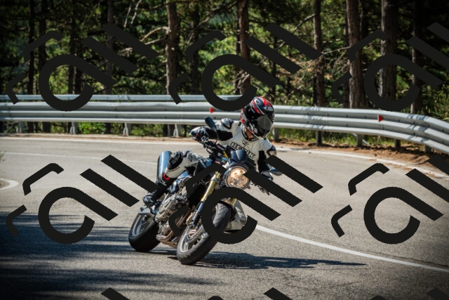 202507201047-DSC05216_c1_