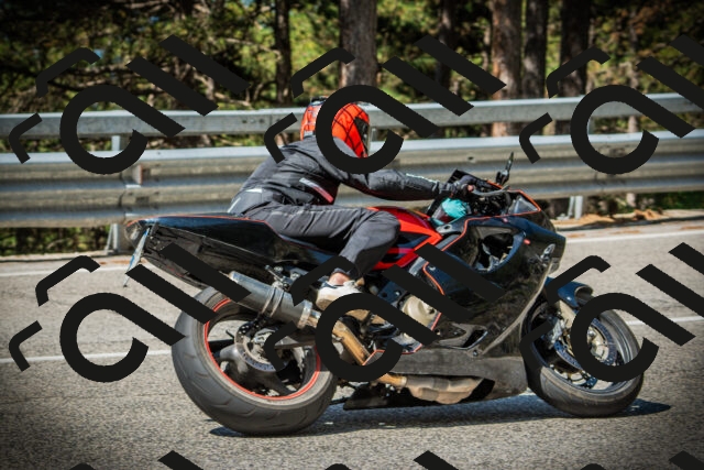 202507201047-DSC05237_c1_