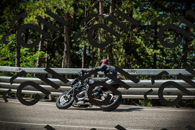 202507201047-DSC05243_c1_