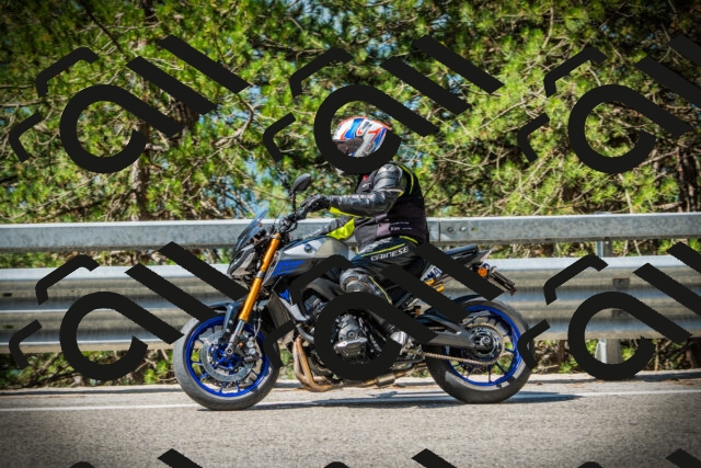 202507201047-DSC05248_c1_