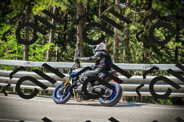 202507201047-DSC05250_c1_