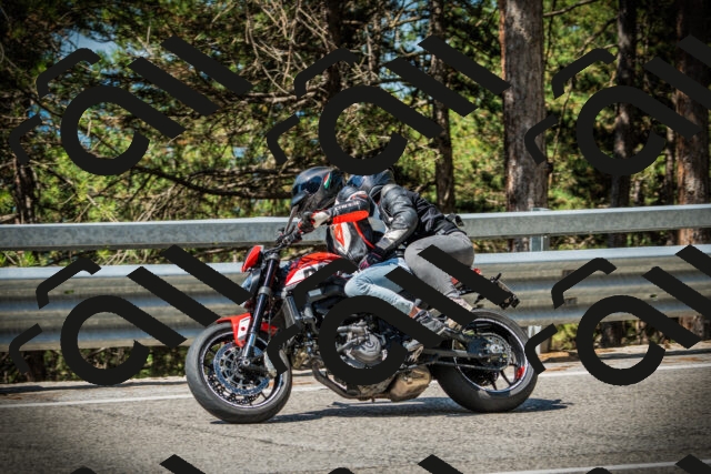 202507201048-DSC05268_c1_