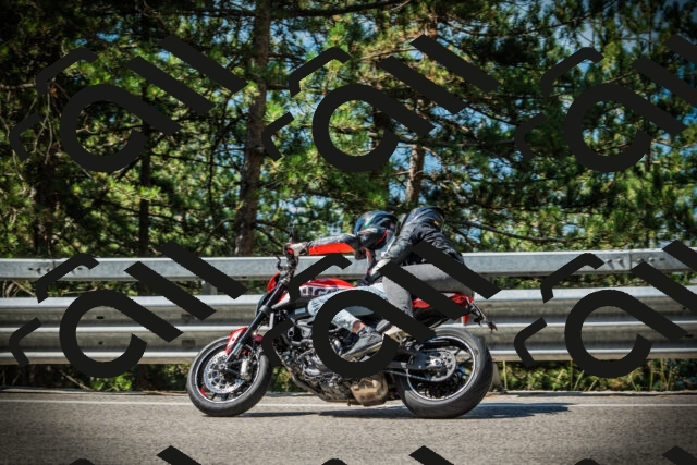 202507201048-DSC05269_c1_