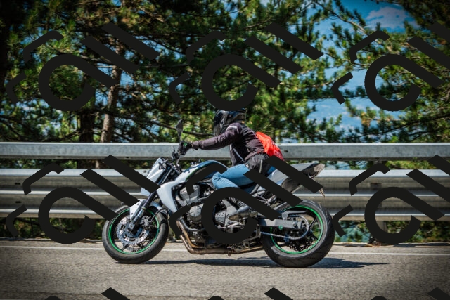 202507201048-DSC05271_c1_