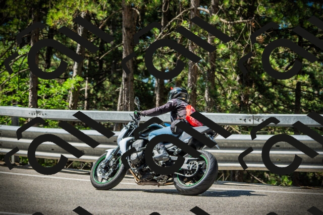 202507201048-DSC05272_c1_