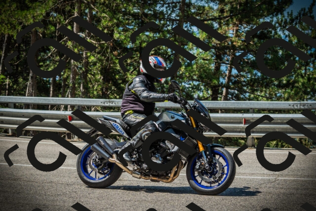 202507201048-DSC05277_c1_