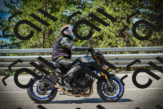 202507201048-DSC05278_c1_