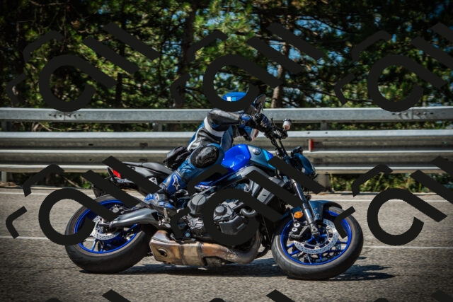 202507201048-DSC05280_c1_