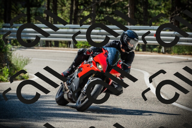 202507201049-DSC05289_c1_