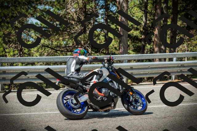 202507201050-DSC05297_c1_