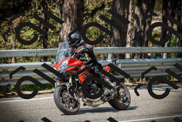 202507201050-DSC05307_c1_