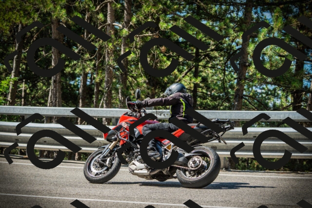 202507201050-DSC05309_c1_