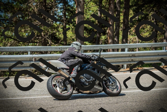 202507201051-DSC05314_c1_