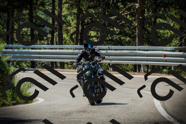 202507201052-DSC05329_c1_