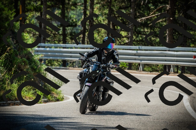 202507201052-DSC05330_c1_