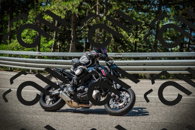 202507201052-DSC05332_c1_