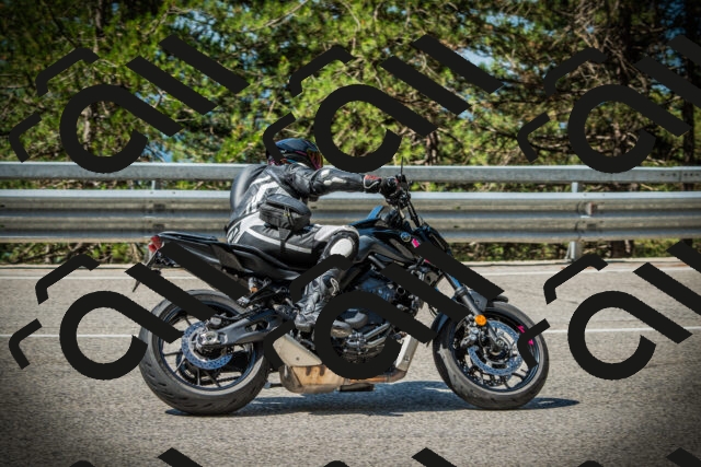 202507201052-DSC05333_c1_